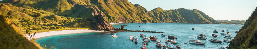 Seguro de saúde em São Cristóvão e Nevis